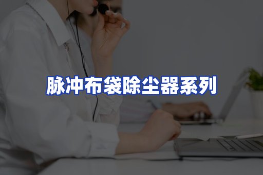 脉冲布袋除尘器系列